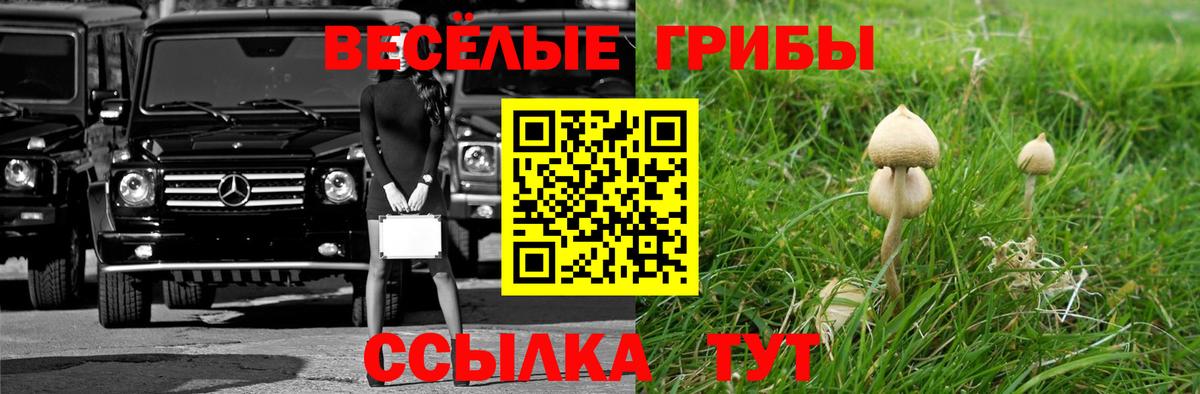 Галлюциногенные грибы мухоморы Бузулук