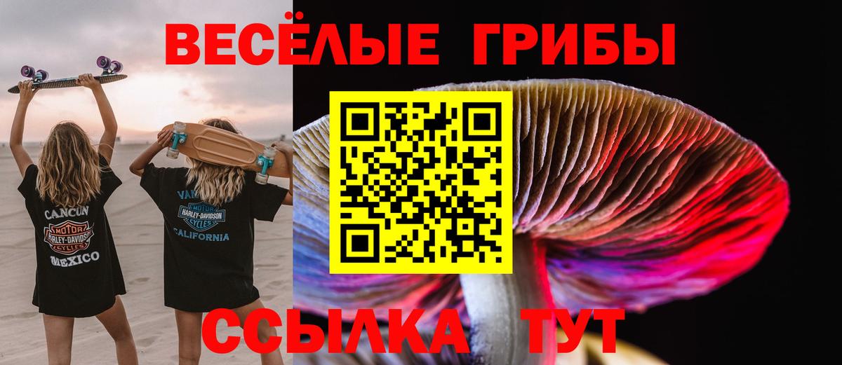 Бузулук  Галлюциногенные грибы ЛСД  Вход с VPN 